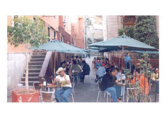 Chela en la plaza