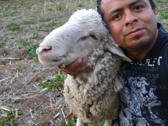 mmmmm, Barbacoa!
