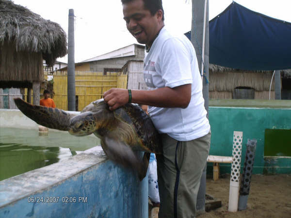 Tortuguita 