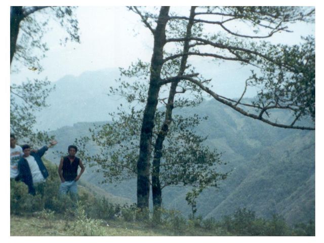 En la sierra!