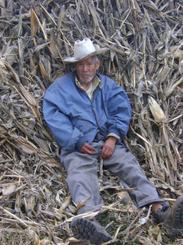 Sin Nombre