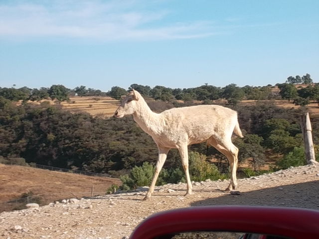 Llamas a mi...