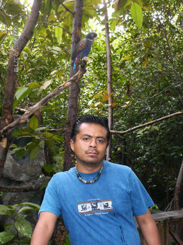 Con la Cacatua azul