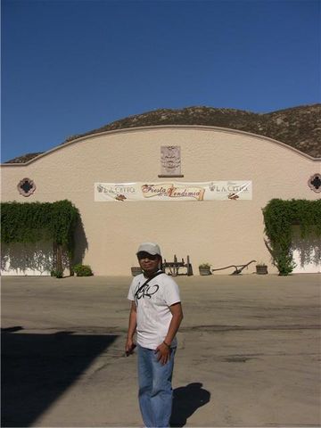 Bodegas!
