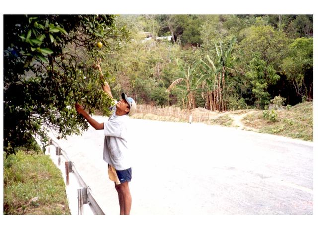 Robando Naranjas!